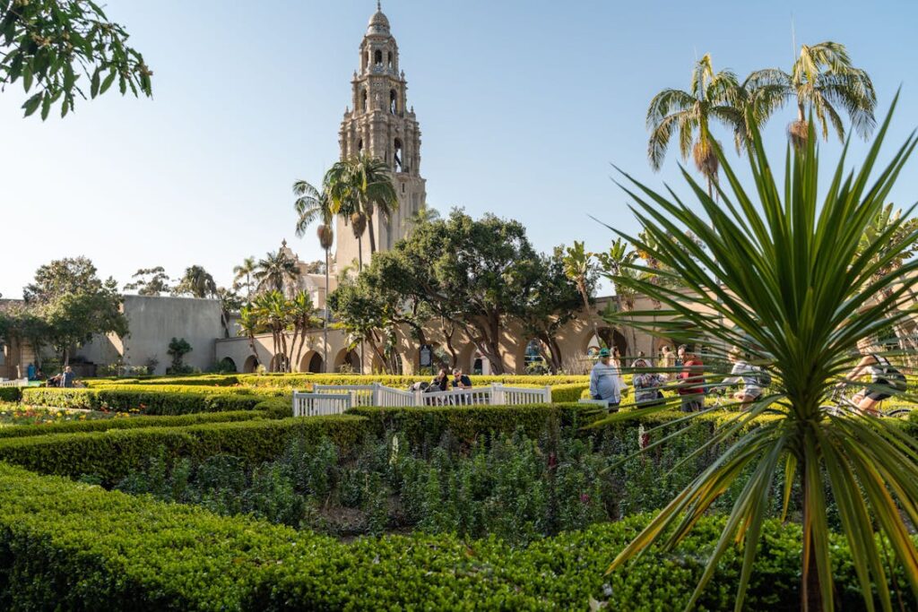 Family enjoying a summer vacation in San Diego, California, with a view of the sunny beach and iconic palm trees, symbolizing a relaxing and fun-filled family getaway.