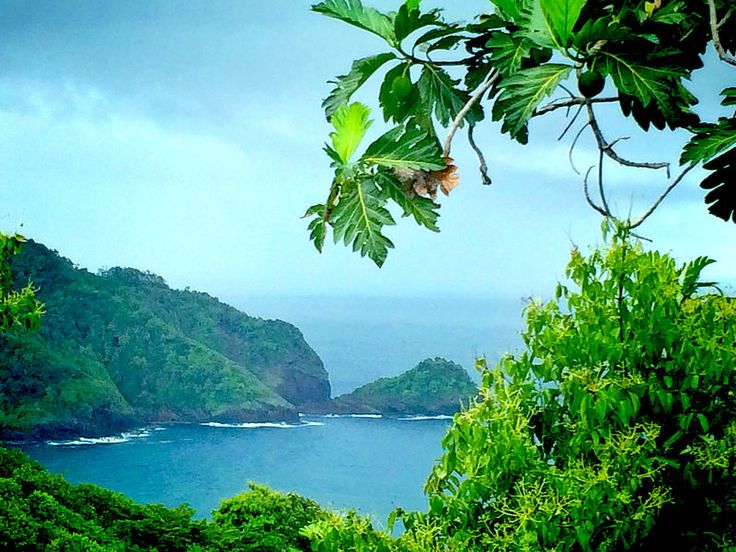 An aerial view of Dominica, one of the Caribbean Islands, showcasing its lush, green rainforests, towering volcanic mountains, and cascading waterfalls. The island’s unspoiled natural beauty is surrounded by crystal-clear waters, making it a perfect retreat for nature lovers seeking tranquility and adventure in the Caribbean Islands."This description is engaging and highlights the focus keyword while painting a vivid picture of Dominica's natural allure