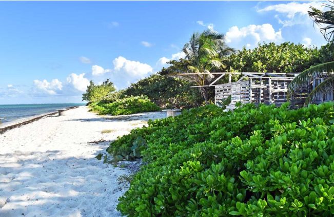 An untouched stretch of white sandy beach on Little Cayman, one of the hidden gems of the Caribbean Islands. Crystal-clear turquoise waters lap gently against the shore, reflecting the peaceful, secluded charm of this tranquil paradise. Palm trees sway in the gentle breeze, creating a serene tropical escape, perfect for those seeking calm and relaxation away from the crowds."

This keeps the focus on tranquility and the natural beauty of Little Cayman, while integrating the keyword "Caribbean Islands" in a natural way.